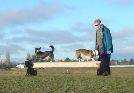 dog park